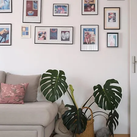 Panorama Cozy View *