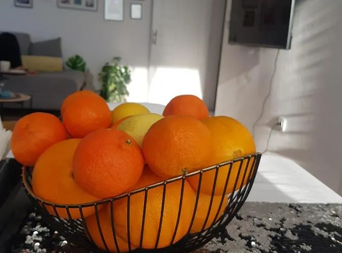 Апартаменты Panorama Cozy View Стара-Загора