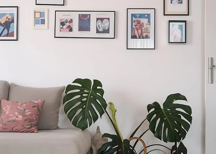 Panorama Cozy View *